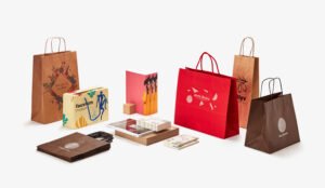 Stylish Carry Bag Design for Cloth Shop to Impress Your Customers