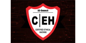 ceh certification cost in india